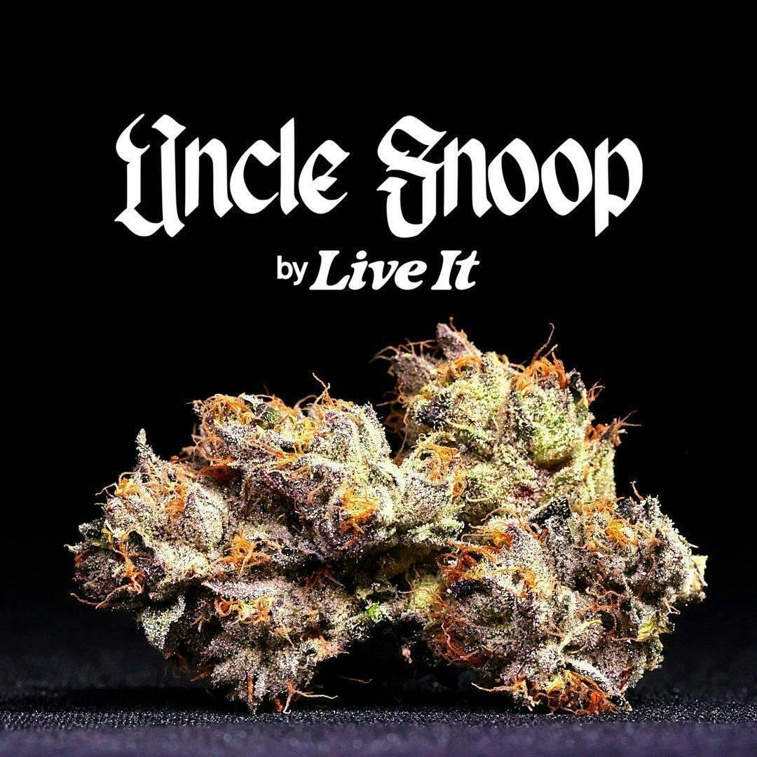 Live It - LIVE IT | UNCLE SNOOP | BIG BUDS - 1