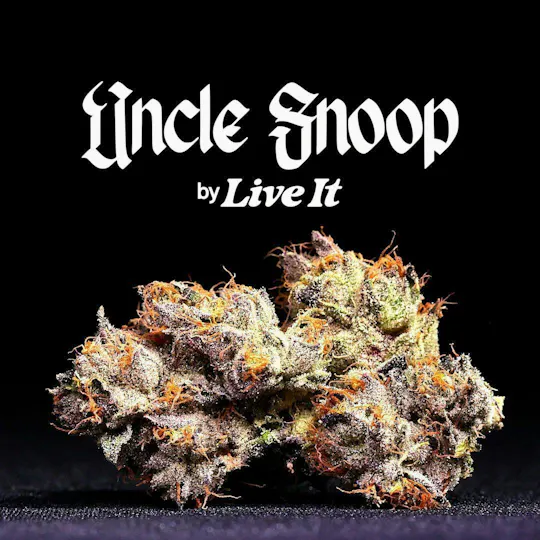 Live It - LIVE IT | UNCLE SNOOP | BIG BUDS - 1