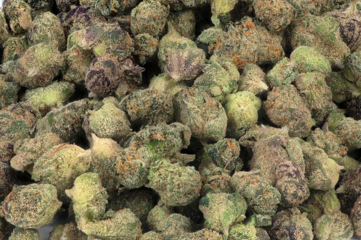 Micro Greenz - Micro Greenz | Kush Crasher x Key Lime Pie | Smalls - 1