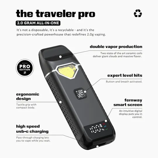 Fernway - Blueberry Cake | Flavor Line | All-In-One Traveler PRO | 2.0g - 1