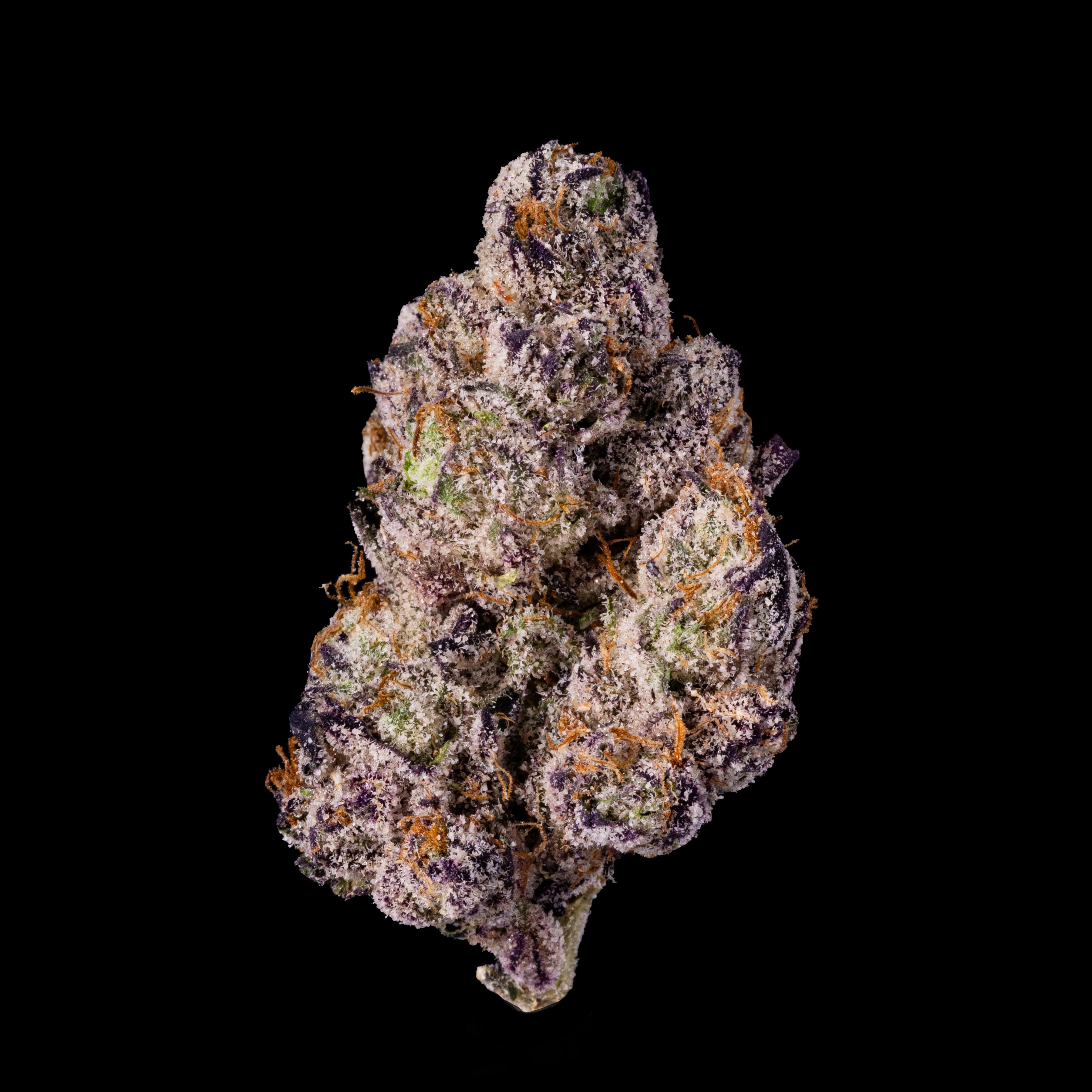 LB Canna Co - LB Canna Co | White Cherry Gelato | Big Buds | 3.5g - 1