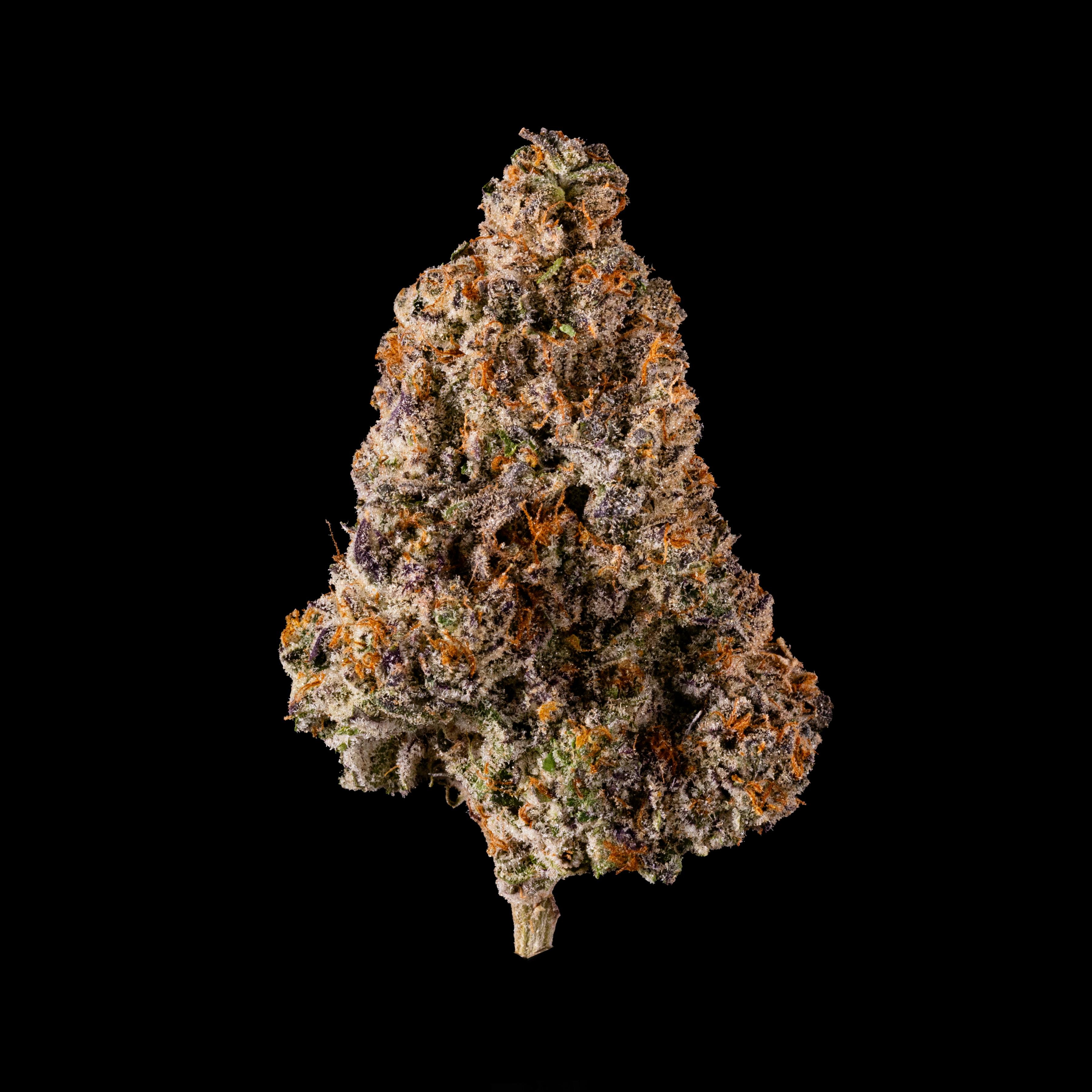 LB Canna Co - LB Canna Co | White Cherry Gelato | Big Buds | 3.5g - 1