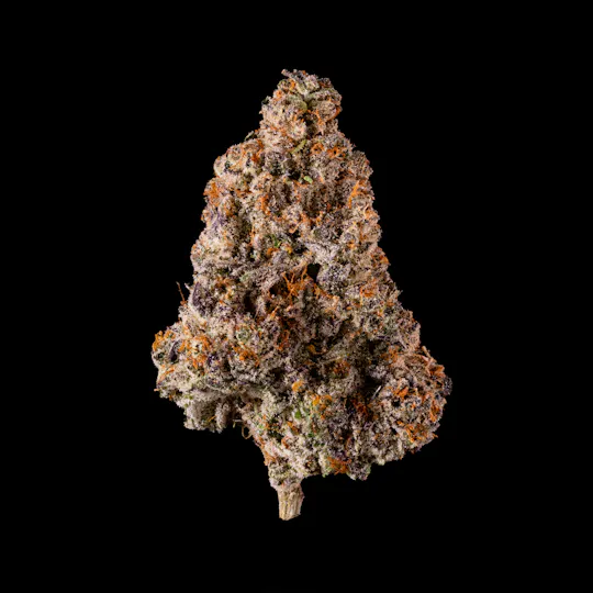 LB Canna Co - LB Canna Co | White Cherry Gelato | Big Buds | 3.5g - 1