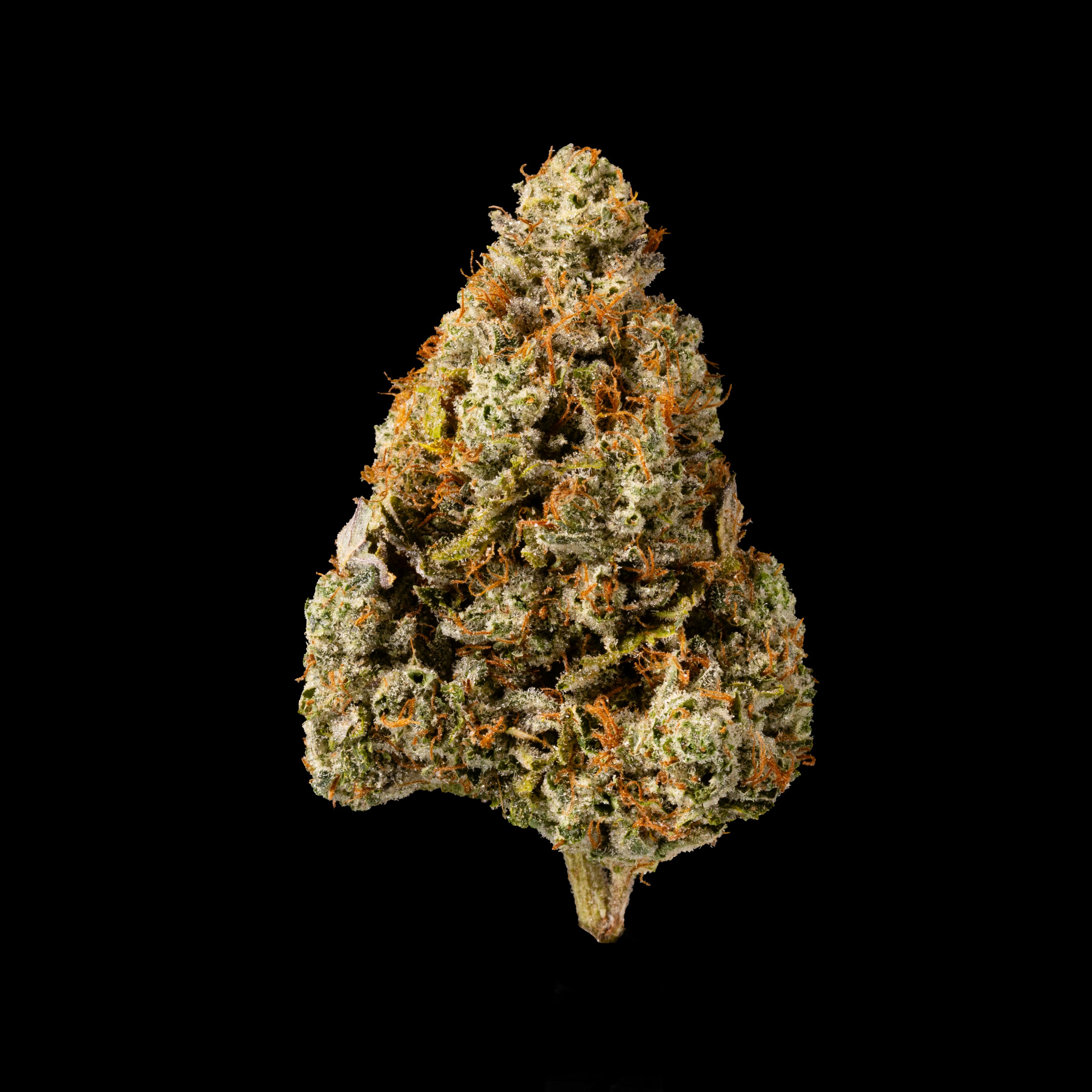 LB Canna Co - LB Canna Co | Ghost OG | Big Buds | 3.5g - 1