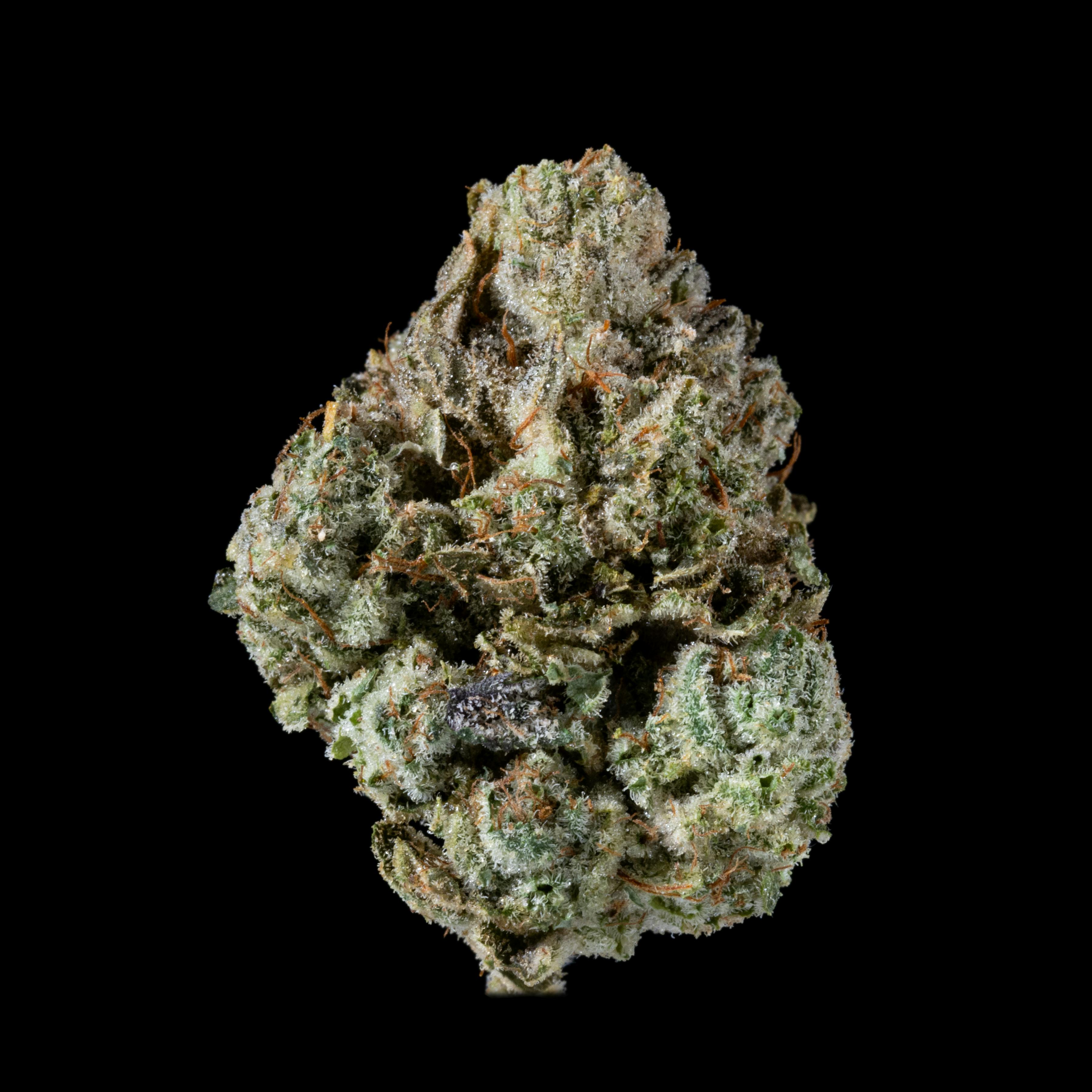 LB Canna Co - LB Canna Co | GG4 | Big Buds | 3.5g - 1