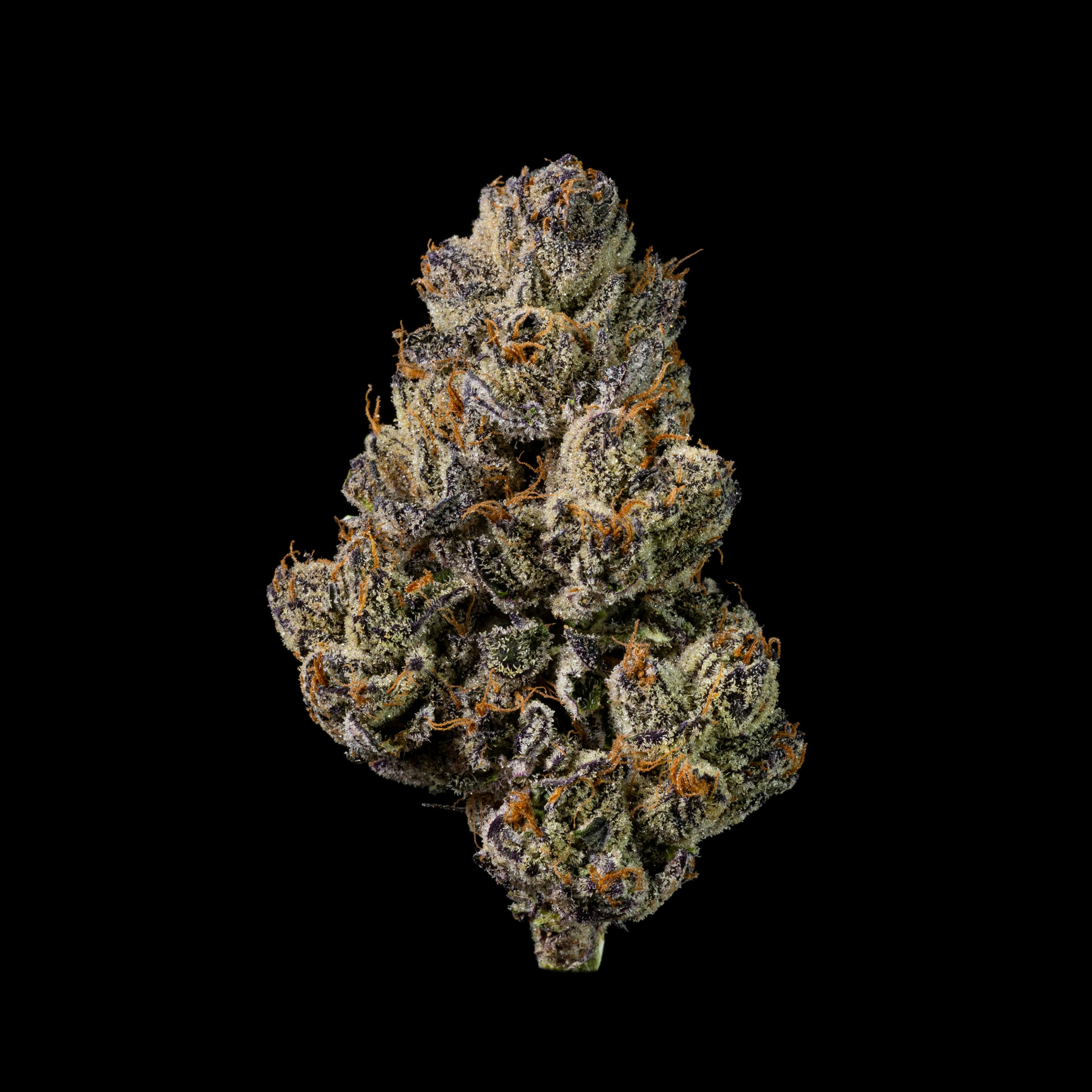 LB Canna Co - LB Canna Co | Gelato Cake | Big Buds | 3.5g - 1