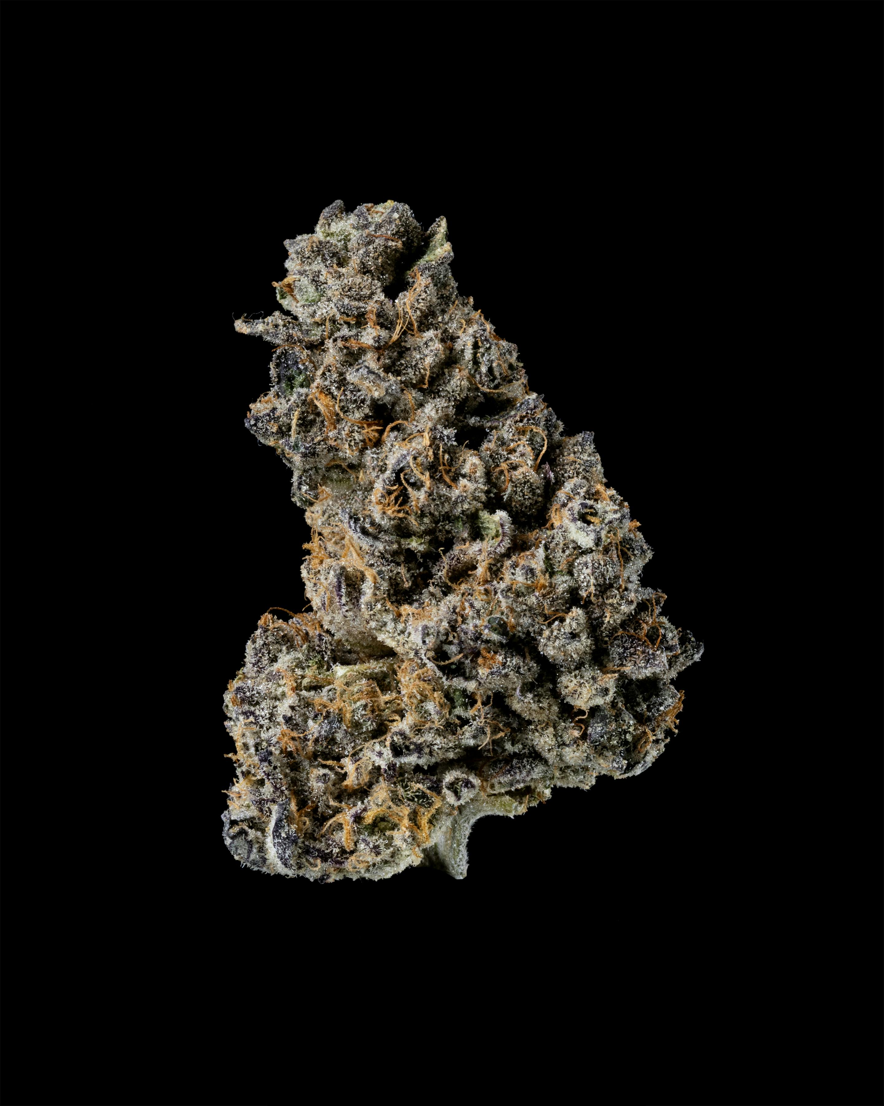 LB Canna Co - LB Canna Co | Alley Ooop | Big Buds | 3.5g - 1