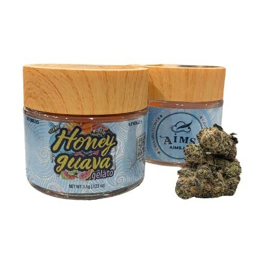 Aims Horticulture - Aims Horticulture | Honey Guava Gelato | Flower | 14g - 1
