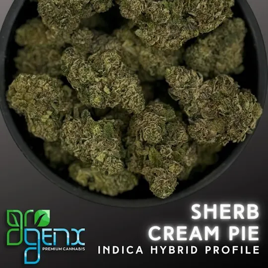 GroGenx - GROGENX - SHERB CREAM PIE (SMALLS) PRE-PACKAGED 14g - 1