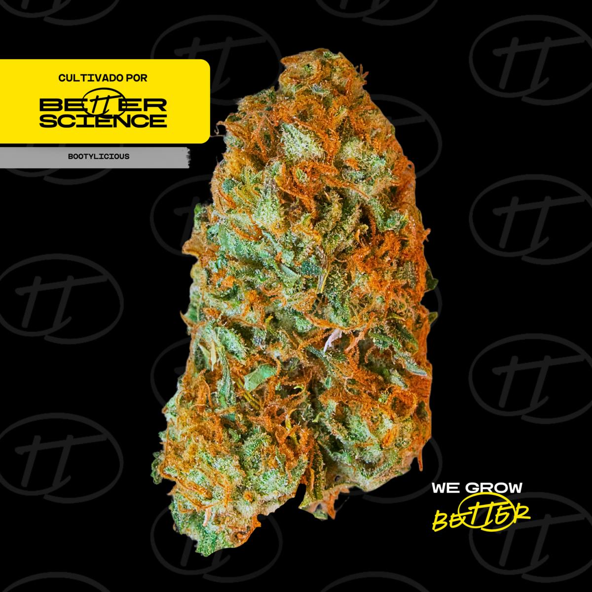 Better Science - BSC - Bootylicious 3 - Smalls - 1