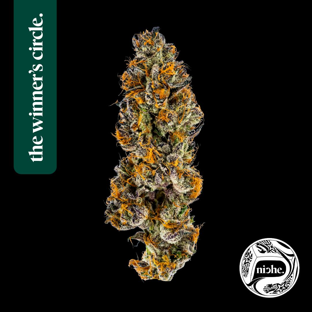 Niche - Zereal Milk | Medallion Series 3.5g - 1