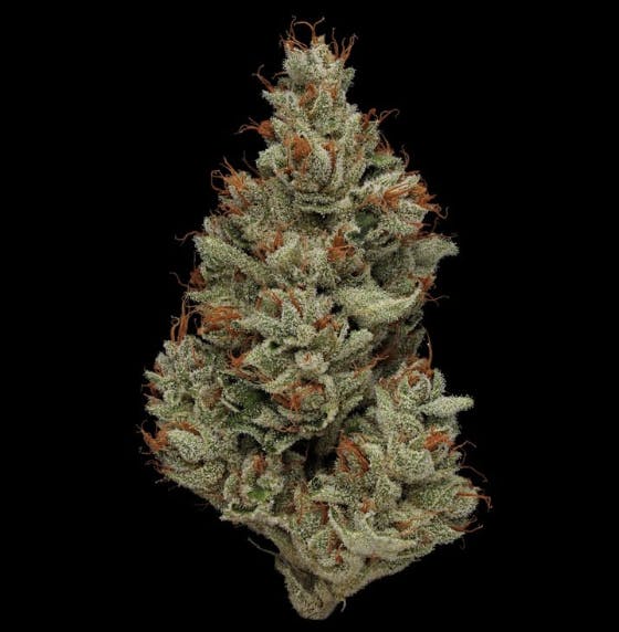 Benson Arbor - Farmer's Dream - 1