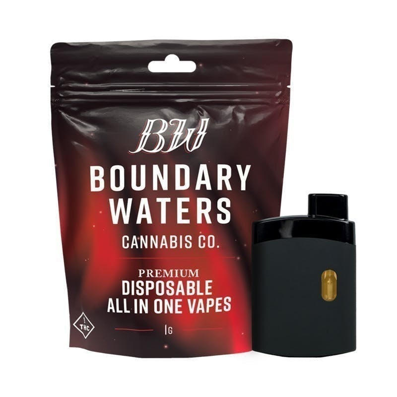 Boundary Waters - Raspberry Crave | Disposable | 1g - 1