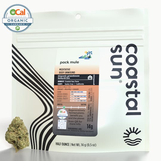 Coastal Sun - Pack Mule Greenhouse Flower 14g - 1
