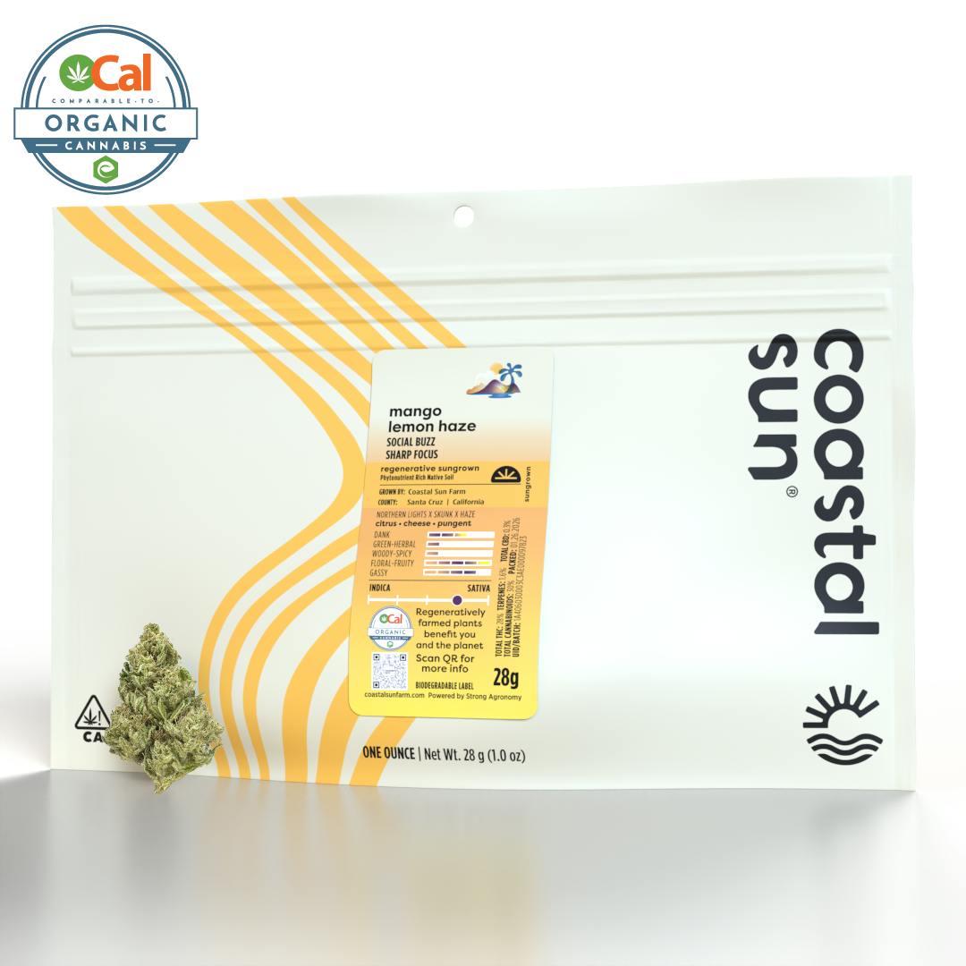 Coastal Sun - Mango Lemon Haze Sungrown Flower 28g - 1