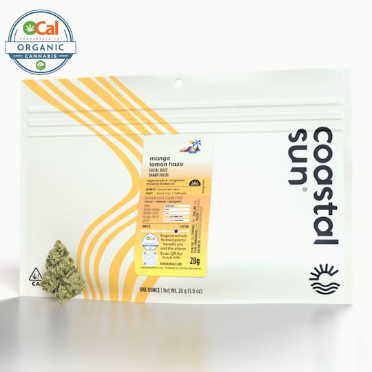 Coastal Sun - Mango Lemon Haze Sungrown Flower 28g - 1