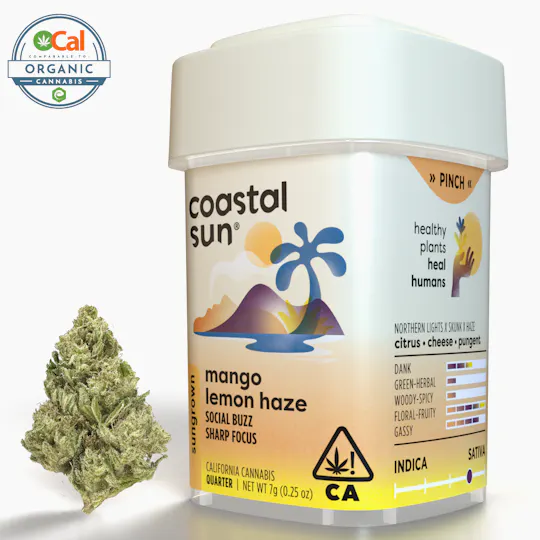 Coastal Sun - Mango Lemon Haze Sungrown Flower 7g - 1