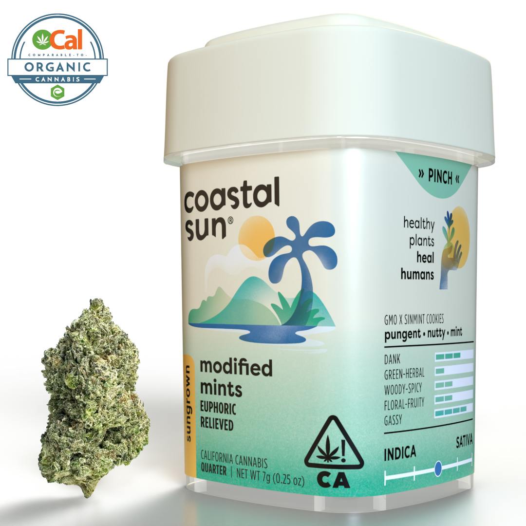 Coastal Sun - Modified Mints Sungrown Flower 7g - 1