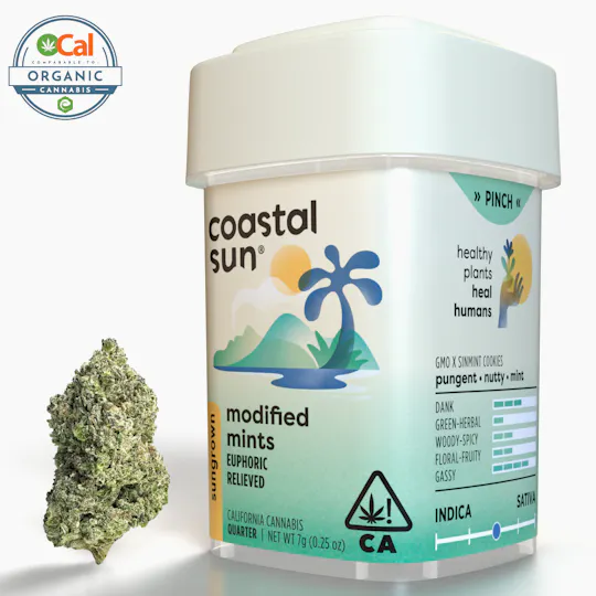 Coastal Sun - Modified Mints Sungrown Flower 7g - 1