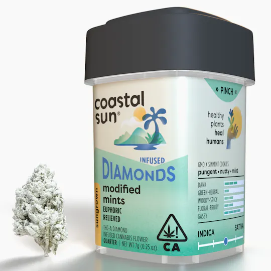 Coastal Sun - Modified Mints Infused Sungrown Flower 7g - 1