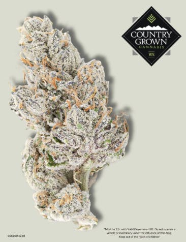 Country Grown - Country Grown - Do-Si-Dos Cookies Flower 7g - 1