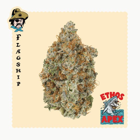 Freddy's Fuego - Ethos Apex - Flagship - 1