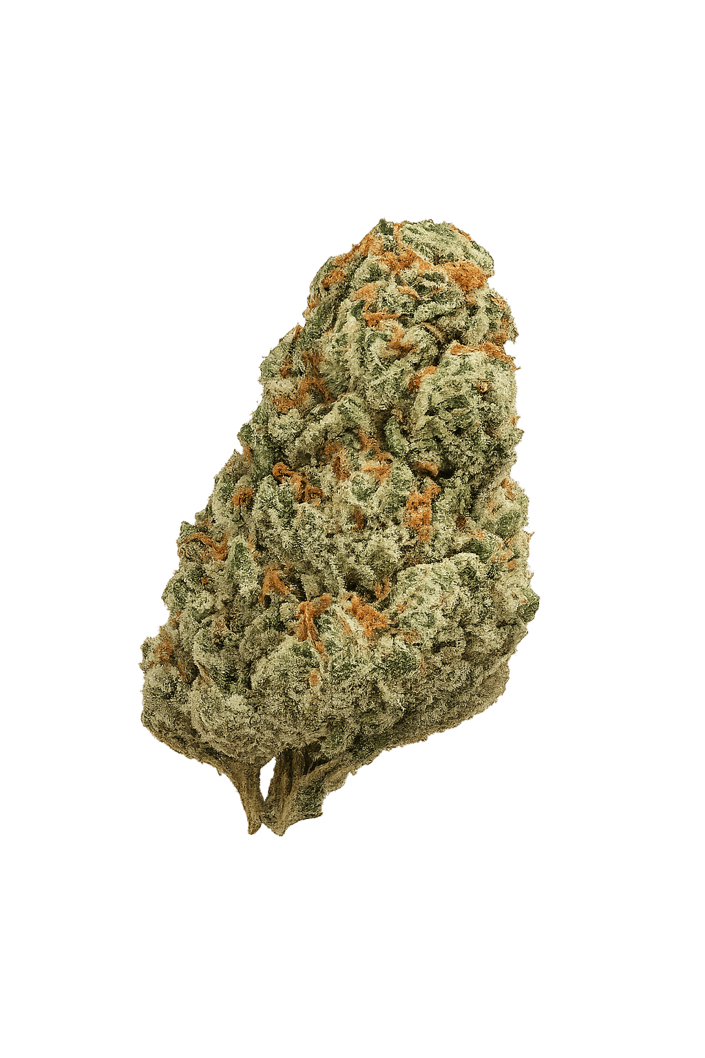 Magic Brothers - White Guava - Top Shelf Flower - 1/2oz. 14g. - 1