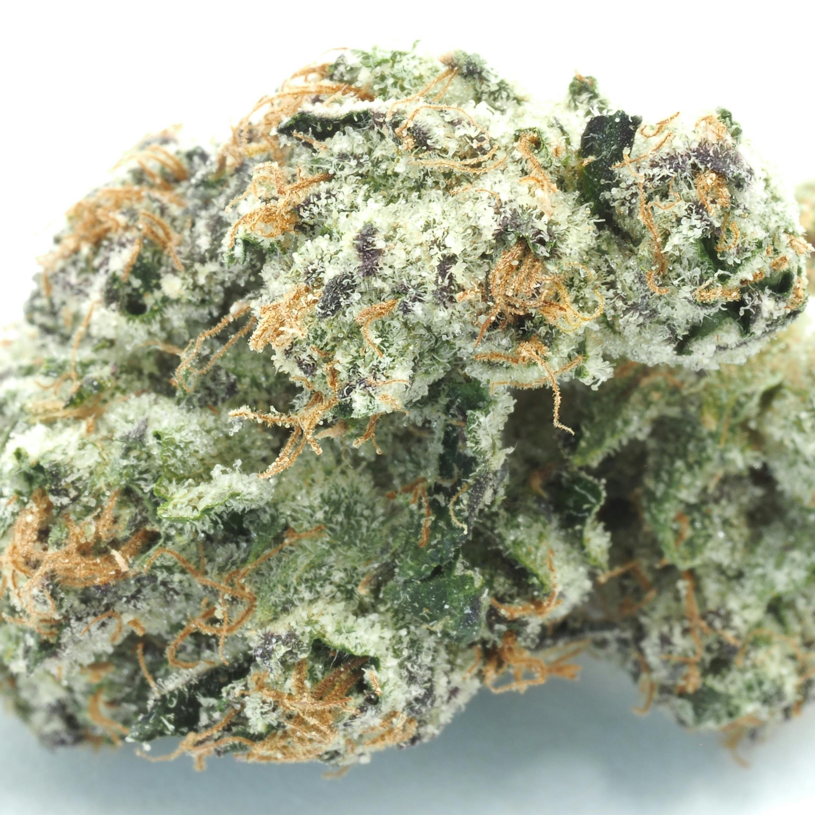 Inadaze - Inadaze | Russian Runtz Premium 1/8 - 1