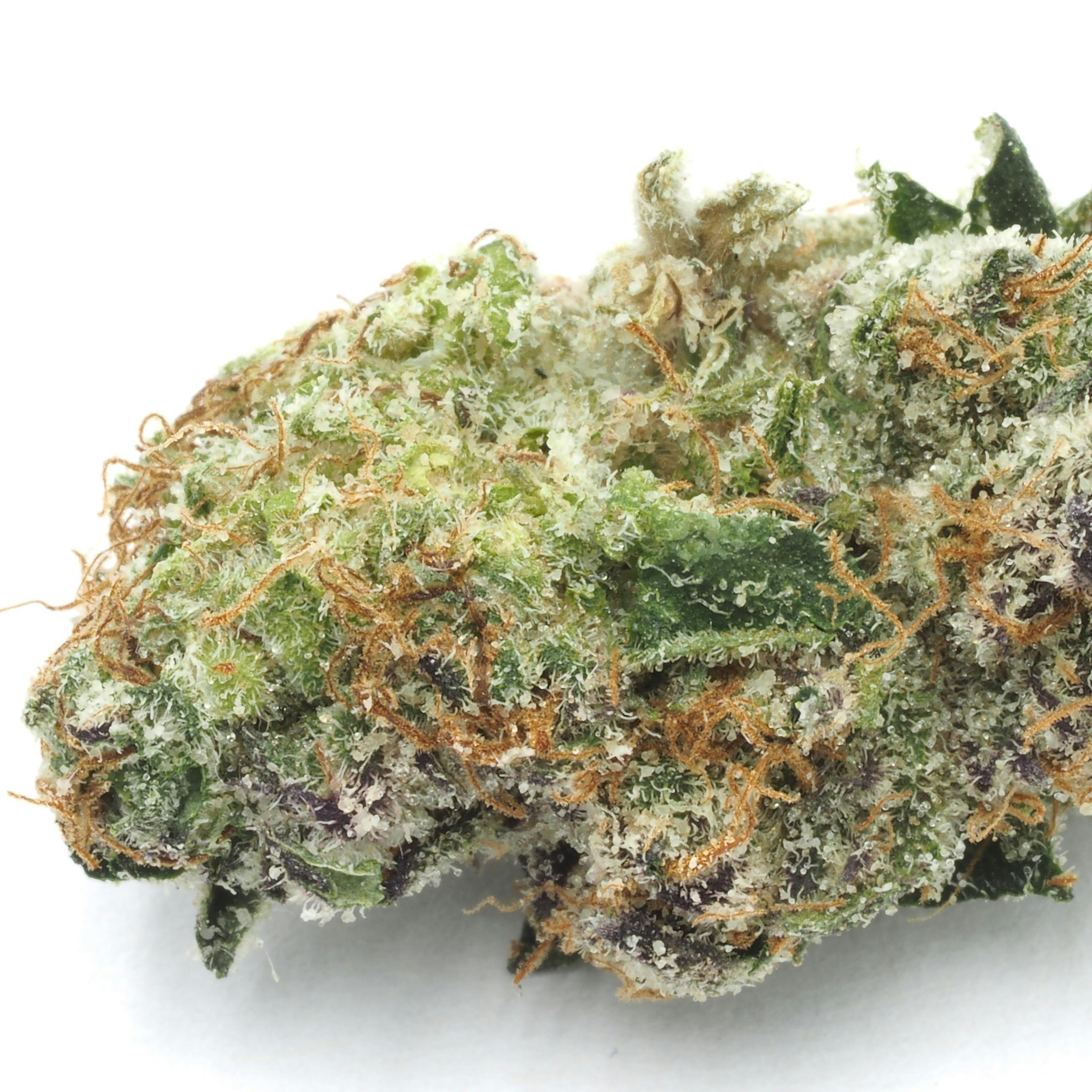 Inadaze - Inadaze | Blue Nerdz Premium 1/8 - 1