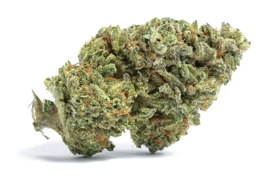 Heartland Farms - Heartland Farms - TK Lato x Zkittlez Cake Flower 3.5g - 1