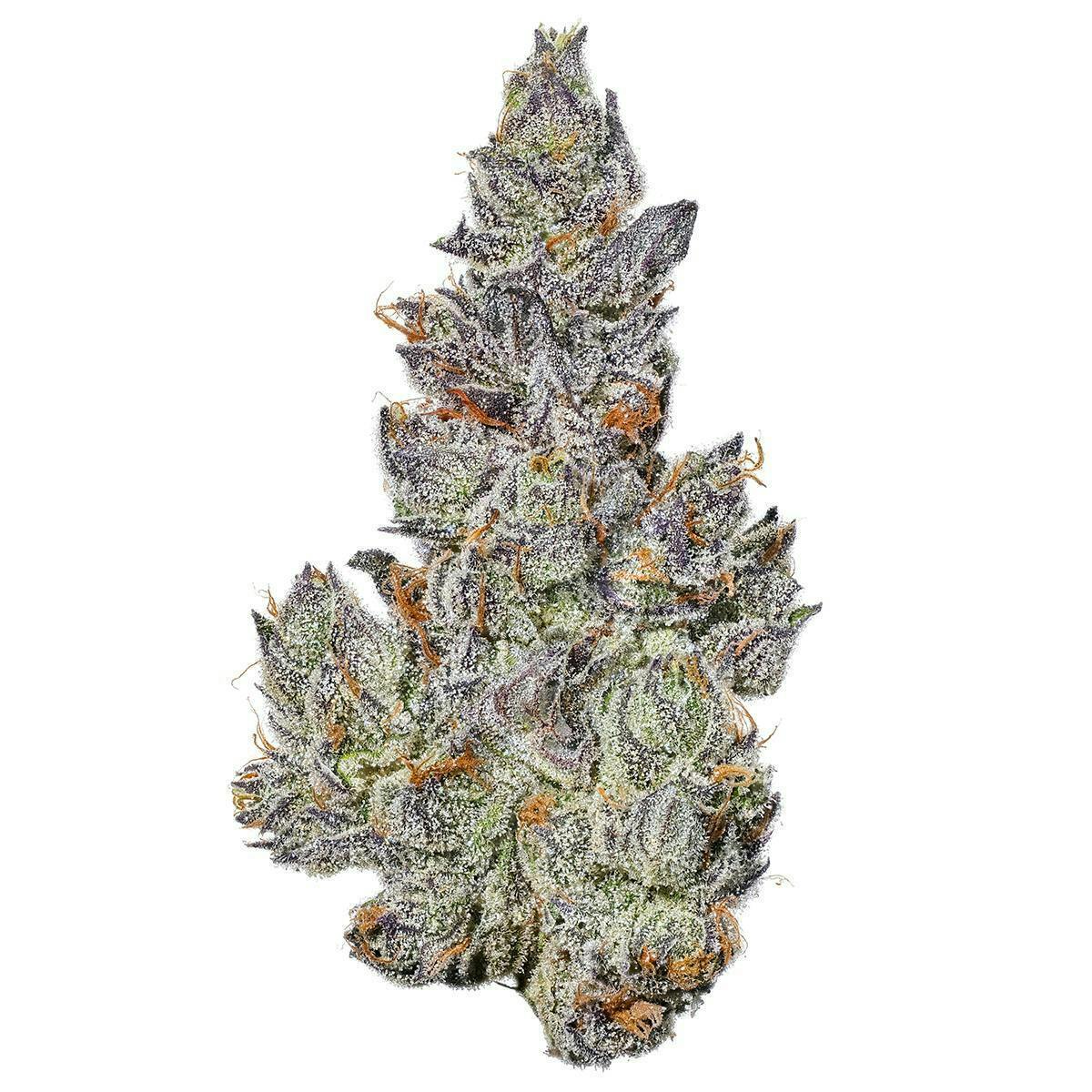 Fig Farms - Fig Farms | Dopamine | Big Buds - 1