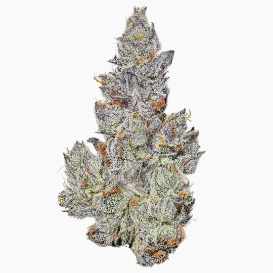 Fig Farms - Fig Farms | Strawberry Guava | Big Buds - 1