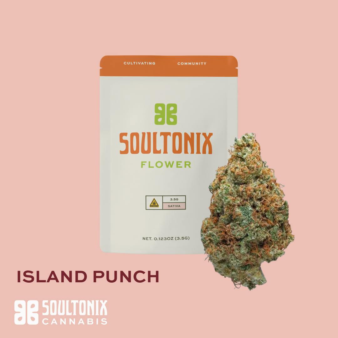 SoulTonix - SoulTonix | Island Punch | Big Buds | 3.5g - 1