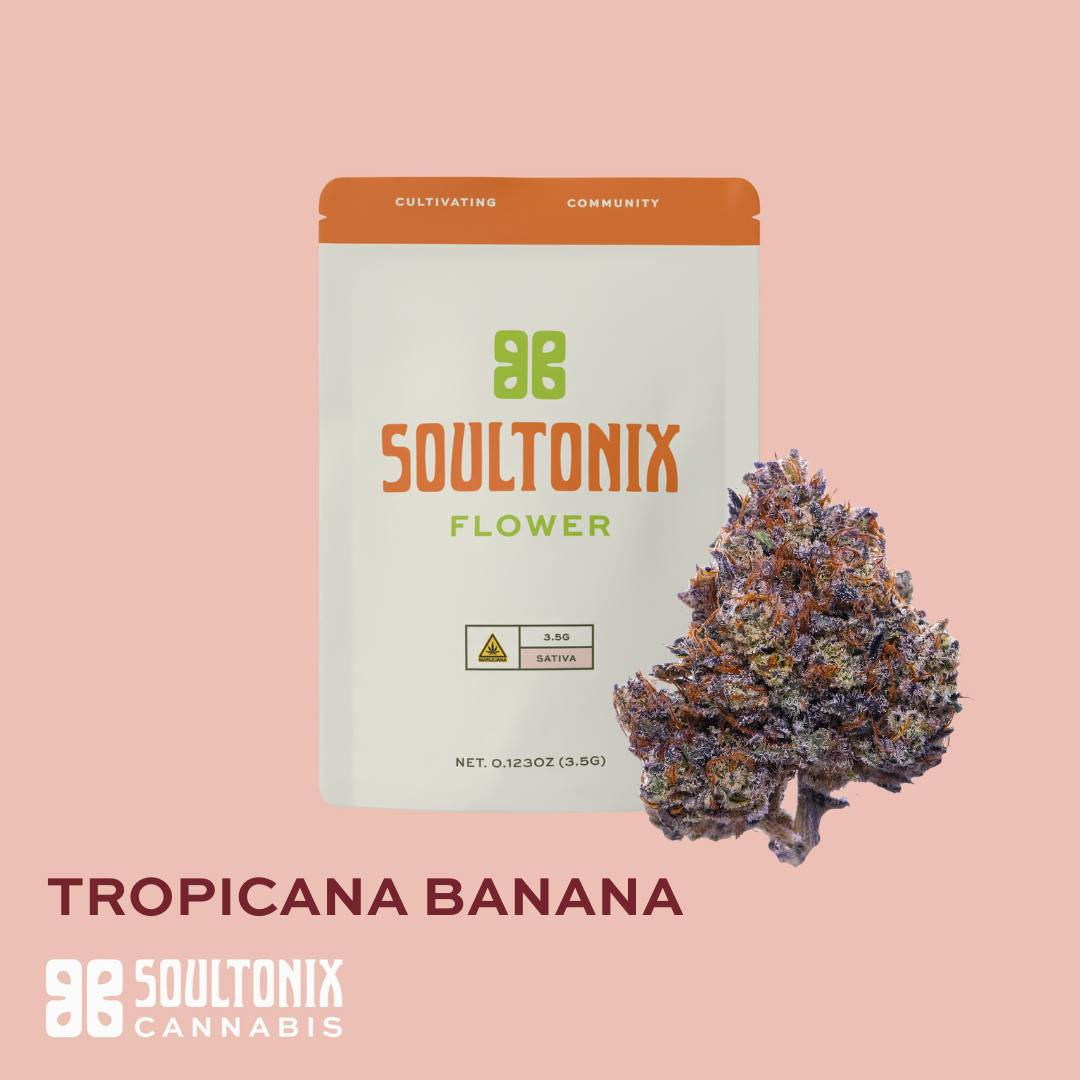 SoulTonix - SoulTonix | Tropicana Banana | Big Buds | 3.5g - 1