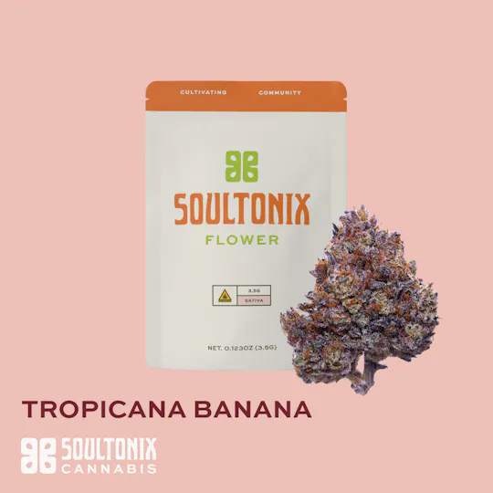 SoulTonix - SoulTonix | Tropicana Banana | Big Buds | 3.5g - 1
