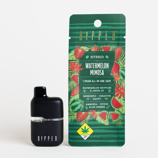 Swifts Edibles - Dipped Watermelon Mimosa AIO 1g - 1