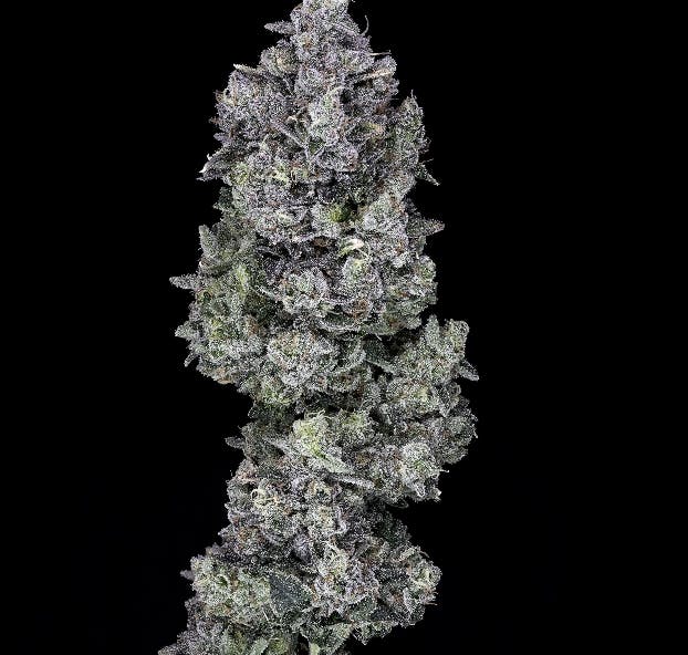 Wojo Co - Wojo Co - Oishii - Bulk Flower - 1