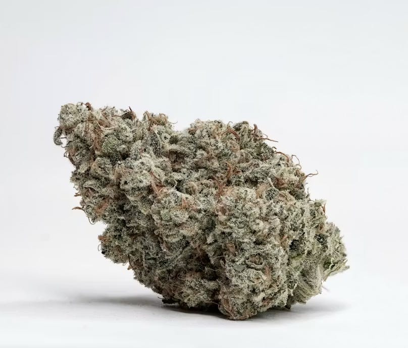 Wojo Co - Wojo Co - Lemon Stank - Bulk Flower - 1