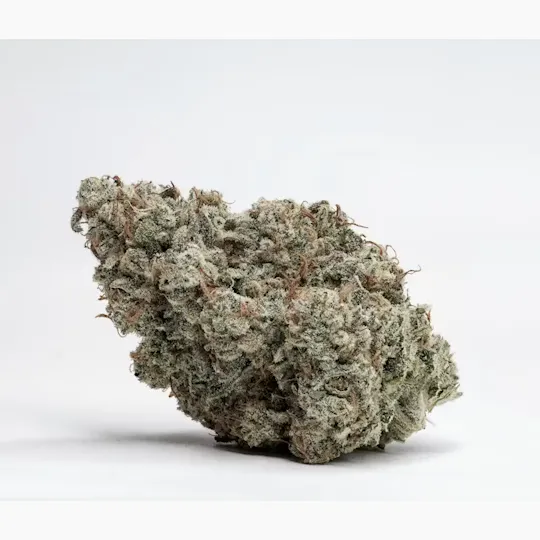 Wojo Co - Wojo Co - Lemon Stank - Bulk Flower - 1