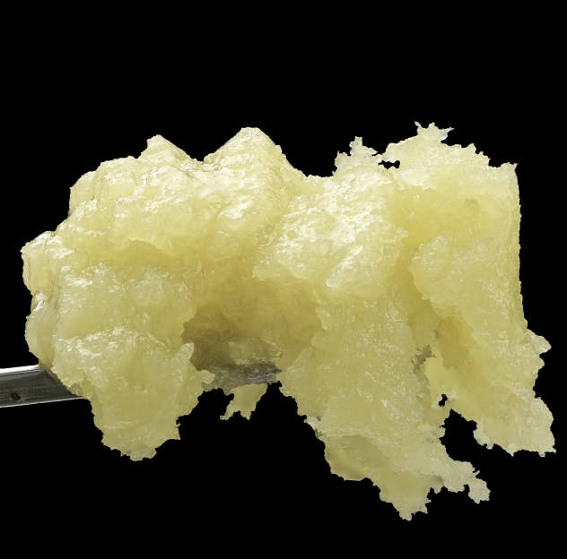 Wojo Co - Wojo Co | Berry Blackout - Live Rosin | 2g - 1