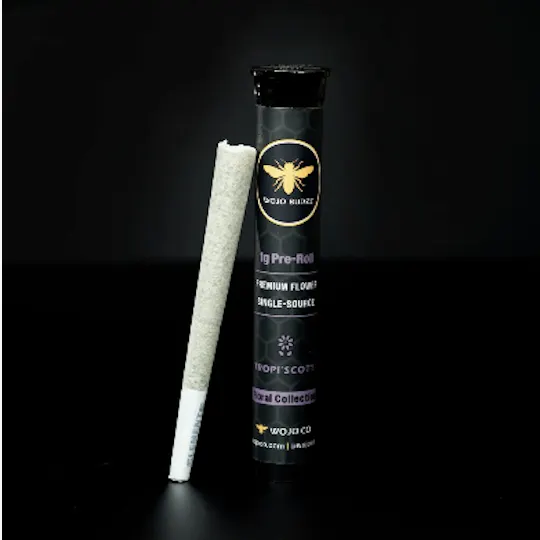 Wojo Co - Wojo Co | Apple Of My Eye - Premium Flower Pre-Roll 1g - 1