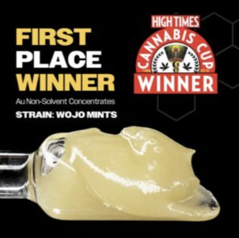 Wojo Co - Wojo Co - Wojo Mints - Live Rosin 2g - 1