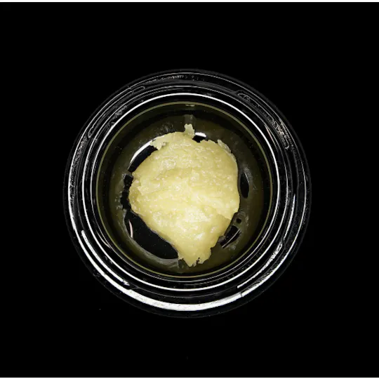Wojo Co - Wojo Co | Apple of My Eye - Live Rosin 2g - 1