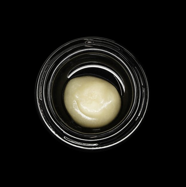 Wojo Co - Wojo Co | The Woah - Live Rosin | 2g - 1