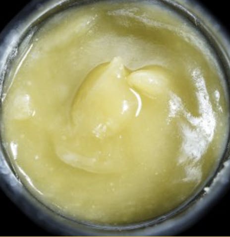 Wojo Co - Wojo Co | Malibu Marsha - Live Rosin | 2g - 1