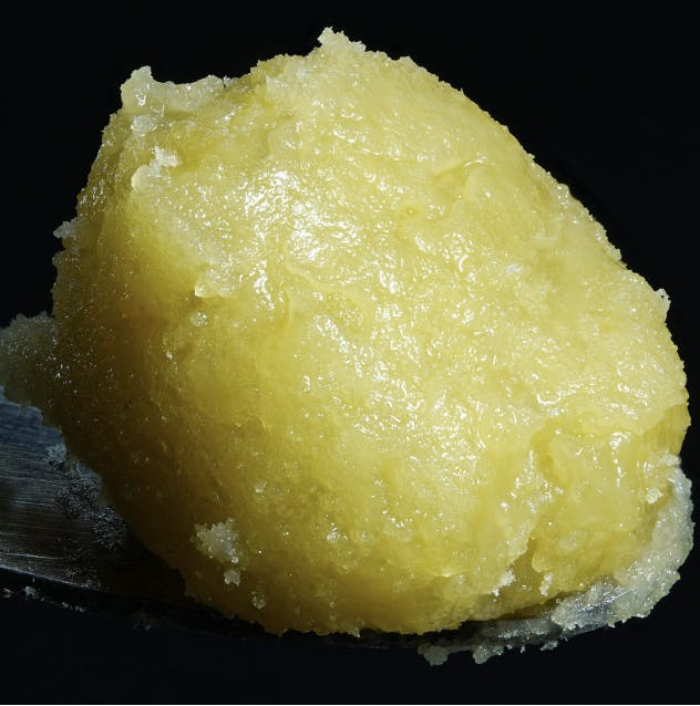 Wojo Co - Wojo Co - Tropic Keys - Live Rosin 2g - 1