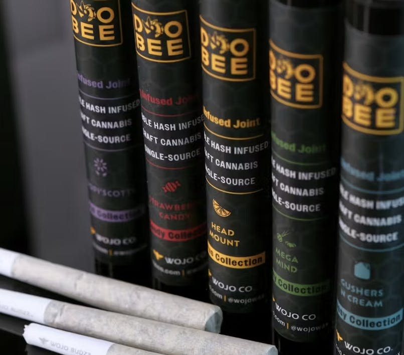 Wojo Co - Wojo Co | Mint Orbit | Doobee Infused Pre-Roll - 1g - 1