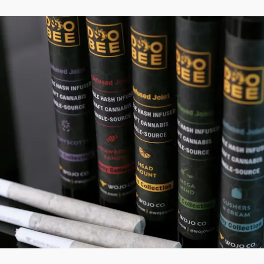 Wojo Co - Wojo Co | Mint Orbit | Doobee Infused Pre-Roll - 1g - 1