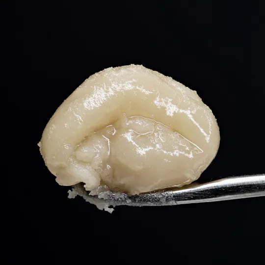 Wojo Co - Wojo Co | Jolly Rauncher - Live Rosin | 1g - 1