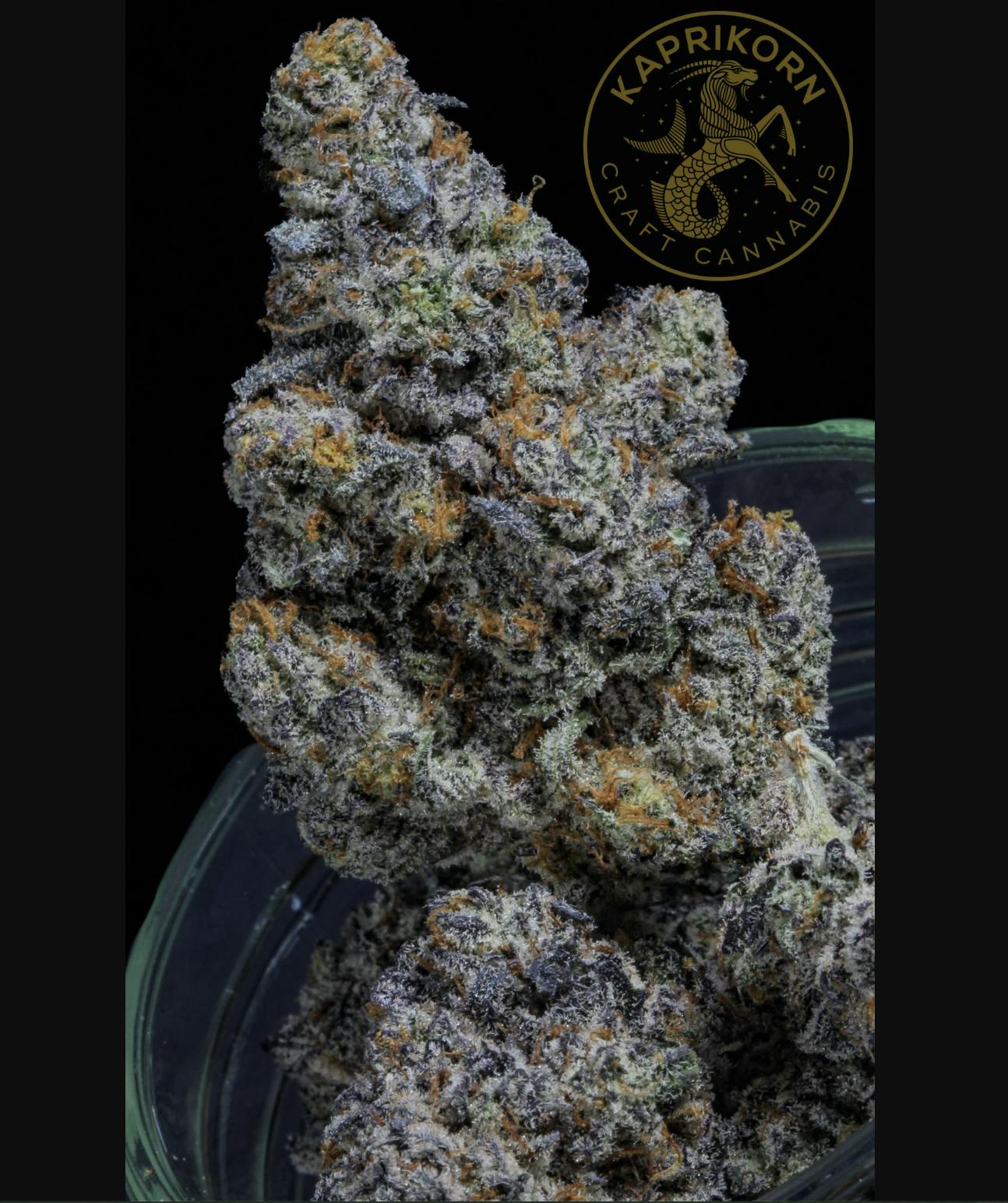 Kaprikorn - White Choc Chip | Kaprikorn | Flower | 3.5G - 1